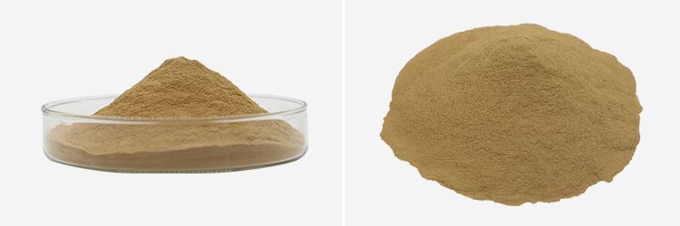 Gingerol 5% 10% 20%