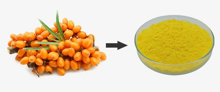 Sea Buckthorn Juice Powder 1