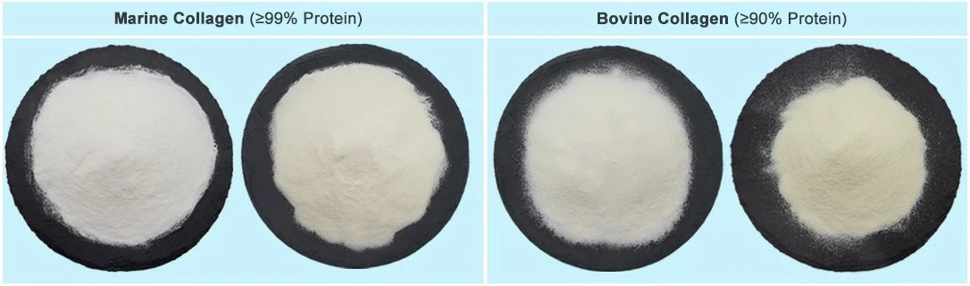 Collagen Powder1 Collagen Powder1