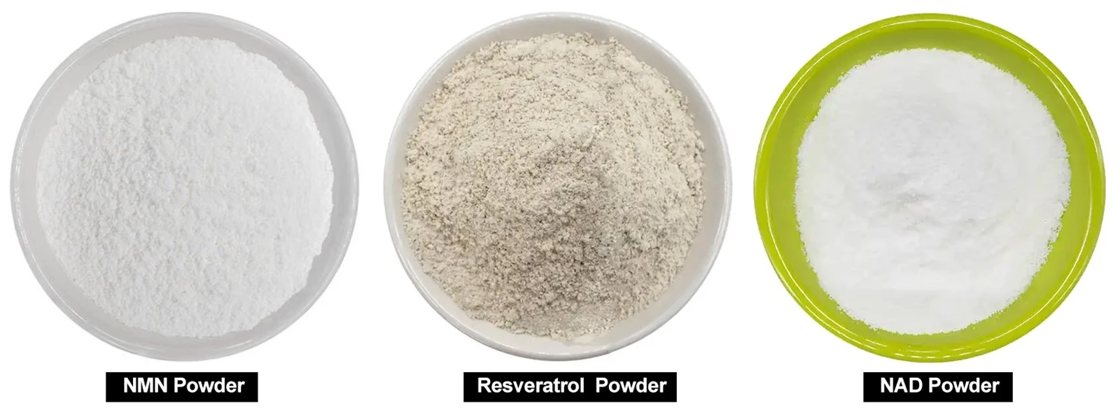 NAD NMN Resveratrol