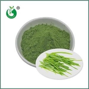大麦グラスジュースパウダー