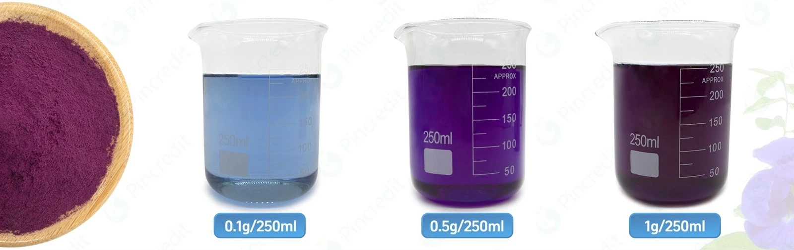 Butterfly Pea Flower Extract