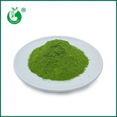 抹茶お茶パウダー